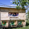 Натуралісти проводять Всеукраїнський турнір «Юний бджоляр»