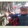 Юннати і школярі Хмельниччини вчаться оберігати й заповідувати старовинні дерева 